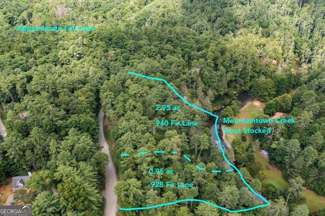 928 Fir Lane 3624, Ellijay, GA 30540