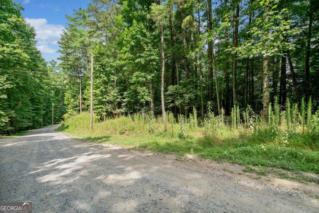 928 Fir Lane 3624, Ellijay, GA 30540