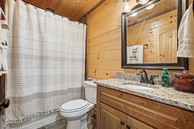 175 Stuart Drive, Mineral Bluff, GA 30559