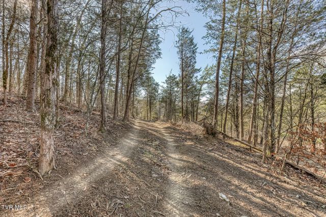 193 North Fork Branch Road, Rogersville, TN 37857