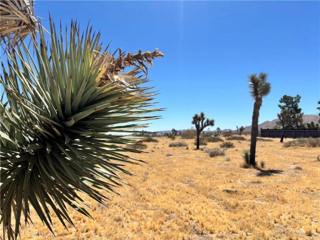 4321 Avalon, Yucca Valley, CA 92284