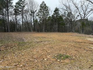 10756 Honey Ridge Drive, Hernando, MS 38632