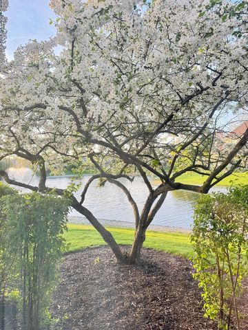 1106 E Wilson Avenue, Lombard, IL 60148