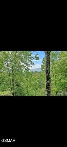 2765 Grassy Branch Loop, Sevierville, TN 37876