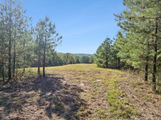 0 Cox Hollow Rd, Dover, TN 37058