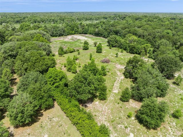 2040 HOLLY HAMMOCK ROAD, De Leon Springs, FL 32130