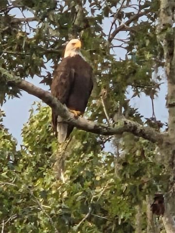 4705 KISSIMMEE PARK ROAD, St Cloud, FL 34772