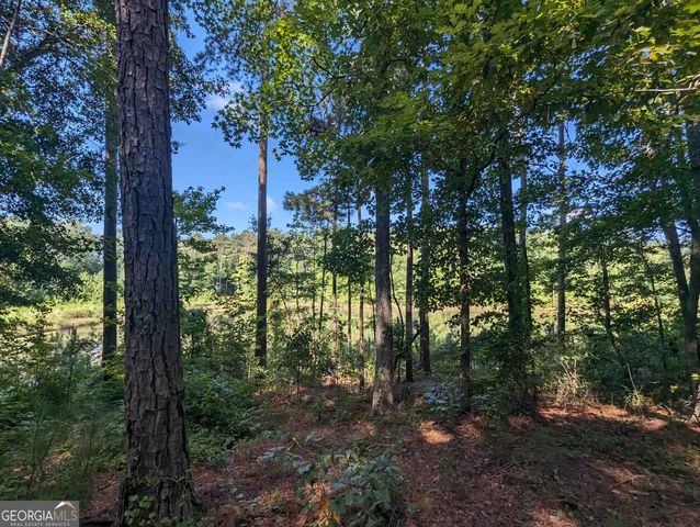 LOT 3 Joe Roberts Road, Newnan, GA 30263