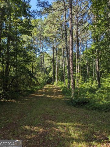 LOT 3 Joe Roberts Road, Newnan, GA 30263
