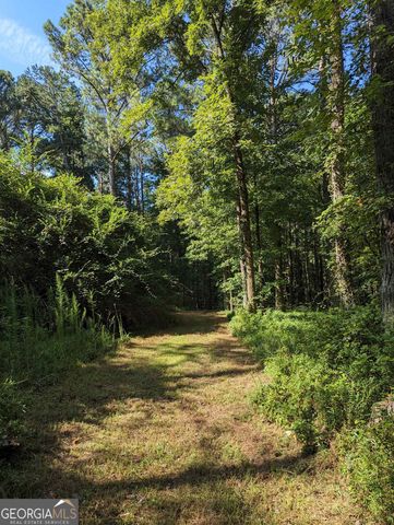 LOT 3 Joe Roberts Road, Newnan, GA 30263