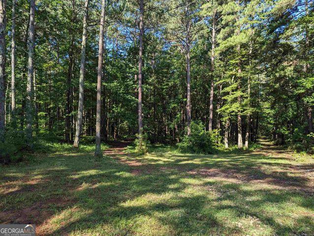 LOT 3 Joe Roberts Road, Newnan, GA 30263