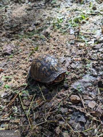 LOT 3 Joe Roberts Road, Newnan, GA 30263