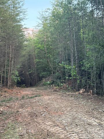 Tract 3 Hill Road, Marion, NC 28752