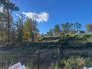 1032 MARTINWOOD LANE, Birmingham, AL 35235