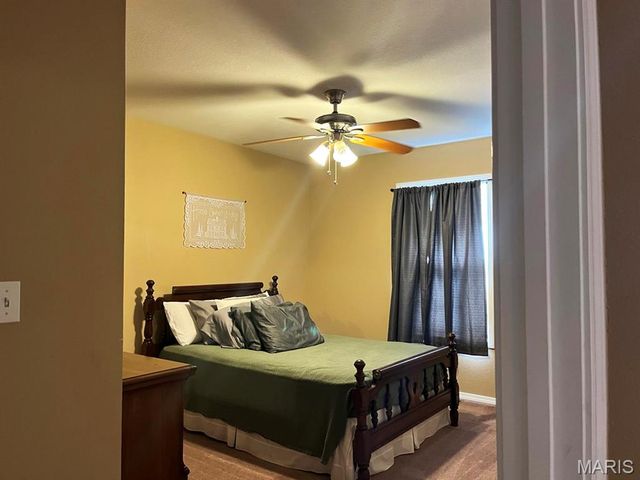 12048 Hidden Meadow Lane, Dexter, MO 63841