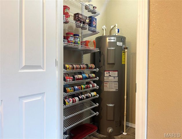 12048 Hidden Meadow Lane, Dexter, MO 63841