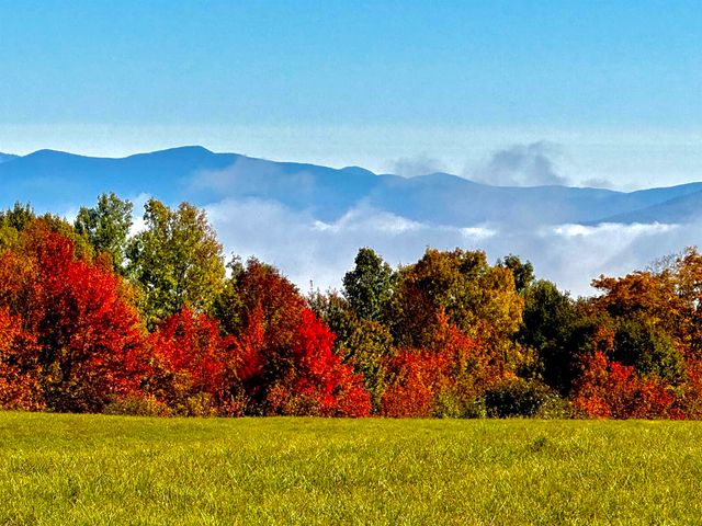 523 Brock Hill Road, Newbury, VT 05051