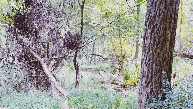 636 CLIFTON ROAD, Bethel Park, PA 15102