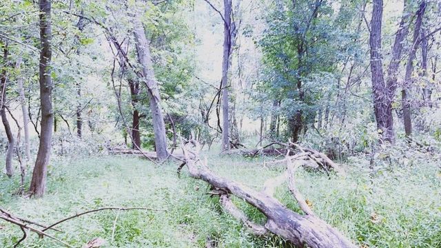 636 CLIFTON ROAD, Bethel Park, PA 15102