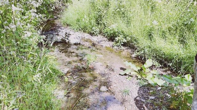 636 CLIFTON ROAD, Bethel Park, PA 15102