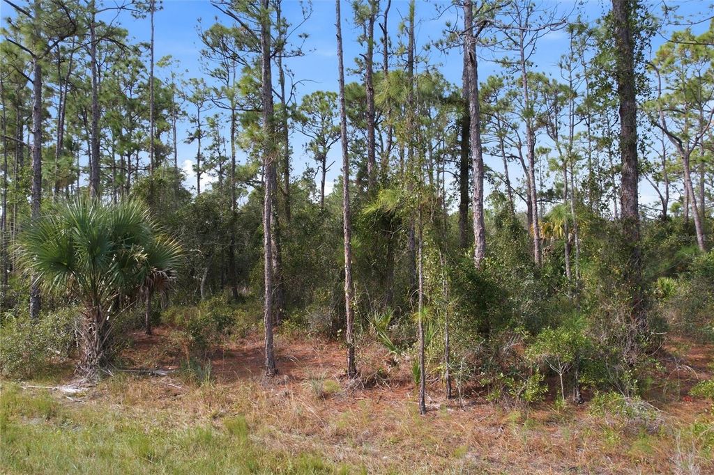 EINSTEIN STREET, North Port, FL 34291