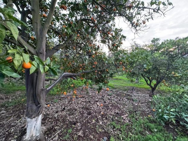 1765 Robinhood Road, Vista, CA 92084