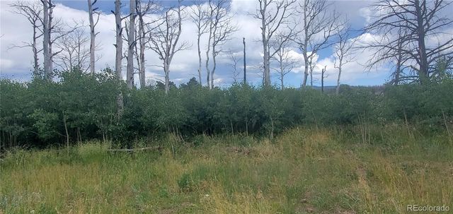 Lot 1720 Fitts Place, Fort Garland, CO 81133