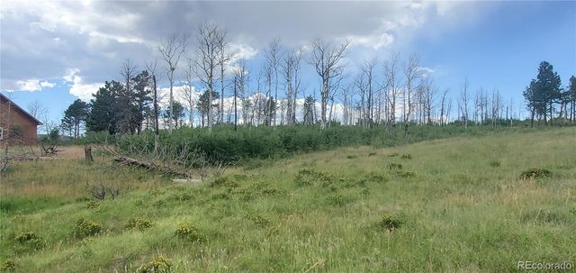 Lot 1720 Fitts Place, Fort Garland, CO 81133