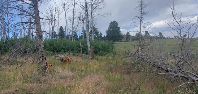 Lot 1720 Fitts Place, Fort Garland, CO 81133