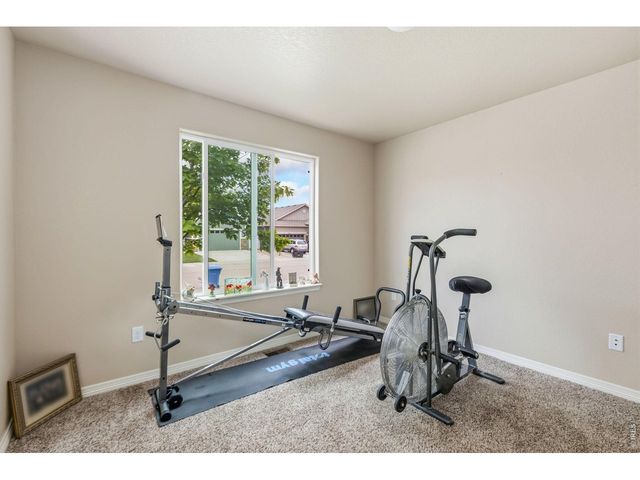 981 Antila Ave, Loveland, CO 80537