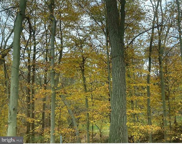 84 N EDGEWOOD DR, Elkton, MD 21921