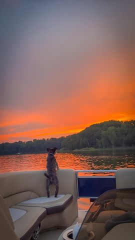 6926 S Forest Lake Drive, Alger, MI 48610