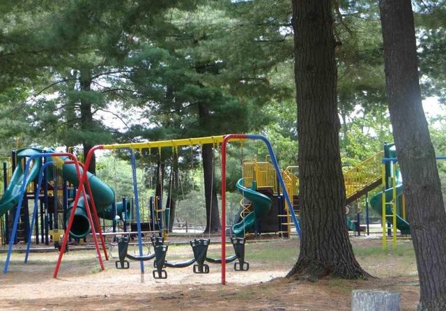 6926 S Forest Lake Drive, Alger, MI 48610