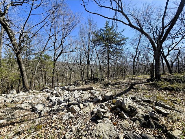 14117 Hogeye, Prairie Grove, AR 72753