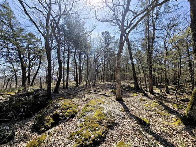 14117 Hogeye, Prairie Grove, AR 72753