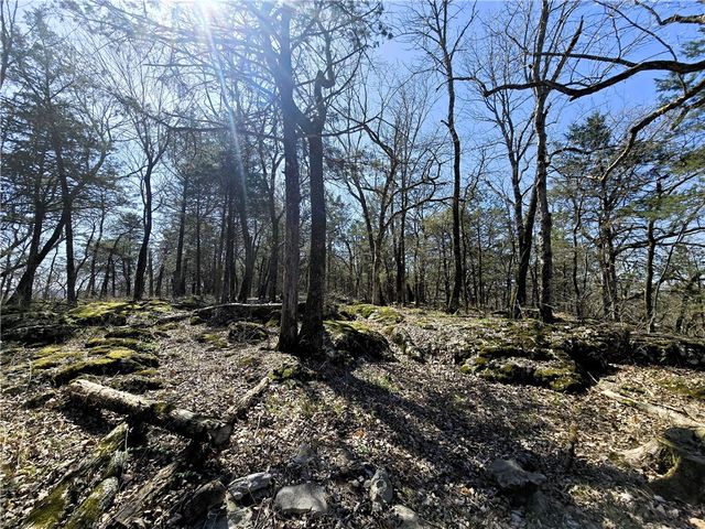 14117 Hogeye, Prairie Grove, AR 72753