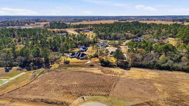 9654 Old Cedars Court, Plantersville, TX 77363