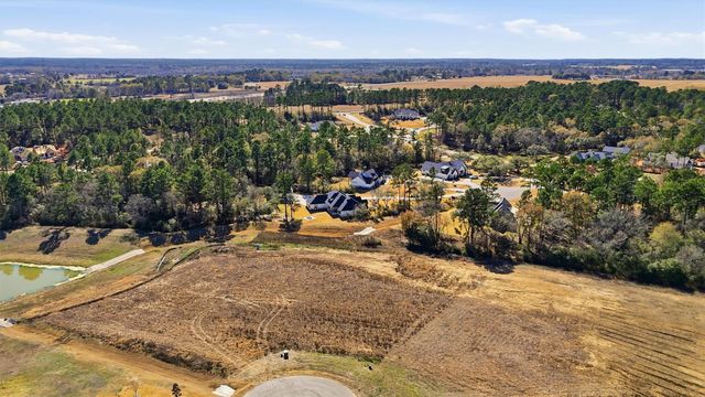 9654 Old Cedars Court, Plantersville, TX 77363