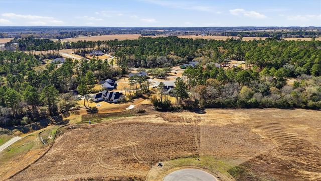 9654 Old Cedars Court, Plantersville, TX 77363