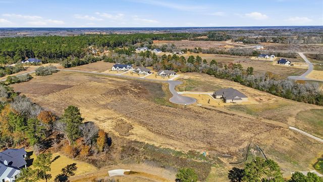 9654 Old Cedars Court, Plantersville, TX 77363