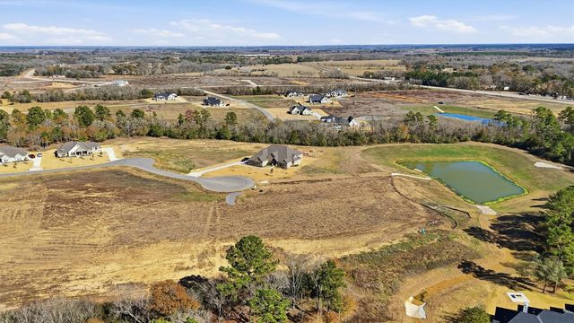 9654 Old Cedars Court, Plantersville, TX 77363