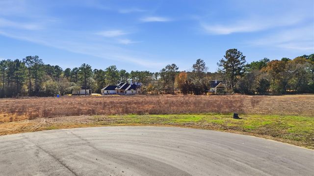 9654 Old Cedars Court, Plantersville, TX 77363