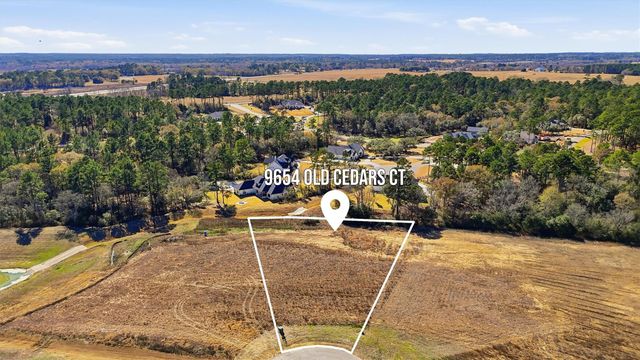 9654 Old Cedars Court, Plantersville, TX 77363