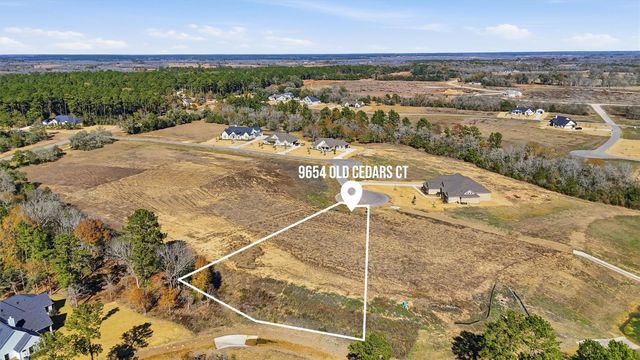 9654 Old Cedars Court, Plantersville, TX 77363