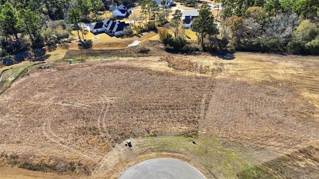 9654 Old Cedars Court, Plantersville, TX 77363