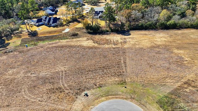 9654 Old Cedars Court, Plantersville, TX 77363