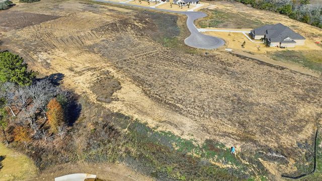 9654 Old Cedars Court, Plantersville, TX 77363