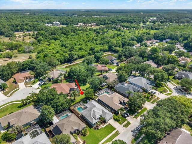 3165 PRIDES CROSSING, Tarpon Springs, FL 34688