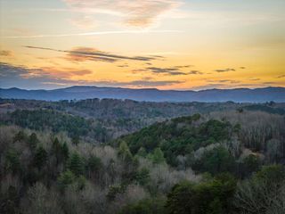 196 S Williamstown Rdg, Mineral Bluff, GA 30559