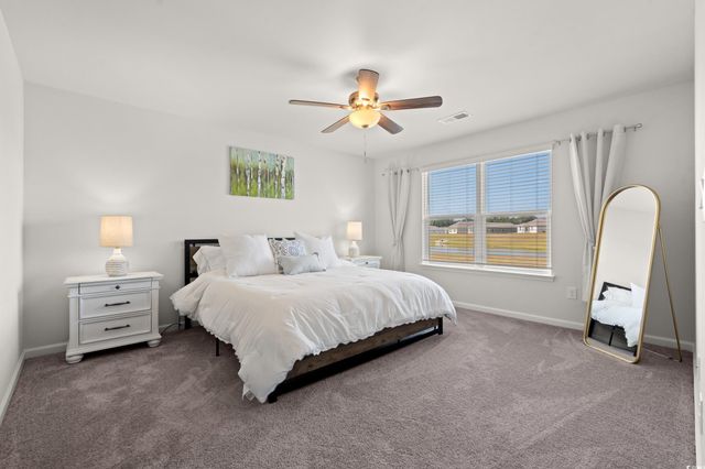 514 Strawberry Field Way, Galivants Ferry, SC 29544